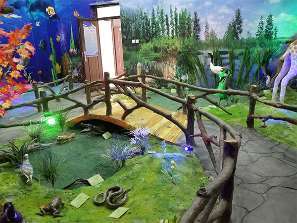 獸類(lèi)標(biāo)本